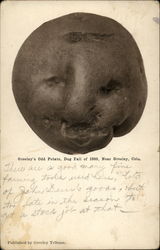 Greeley's Odd Potato Dug Fall of 1905 Postcard