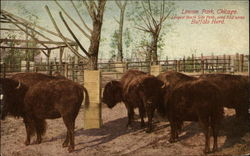 Stock #244864 Thumbnail