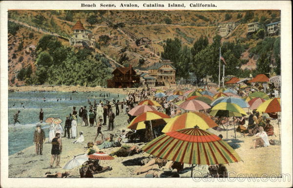 Beach scene Catalina Island Avalon California