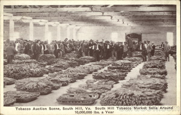 Tobacco Auction Scene South Hill Virginia
