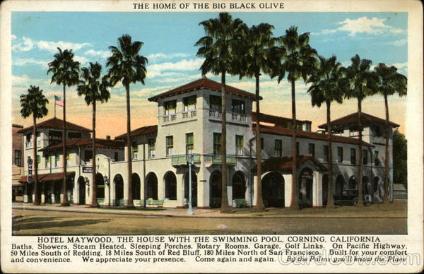 Hotel Maywood: The Home of the Big Black Olive Corning California