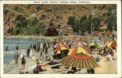 Beach scene Catalina Island Postcard