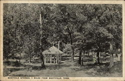 Montvale Springs Maryville, TN Postcard Postcard