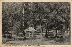 Montvale Springs Postcard