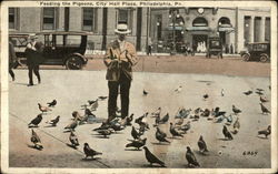 Feeding the Pigeons, City Hall Plaza Postcard