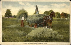 Beauty Spot Near Girard Ohio Postcard