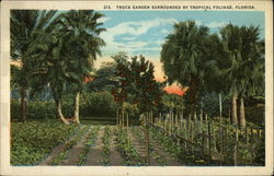 Truck Garden Surrounded by Tropical Foliage Postcard