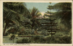 City Park Postcard