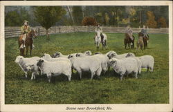 Scene near Brookfield, Mo Missouri Postcard Postcard