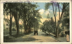 Willett Avenue Port Chester, NY Postcard Postcard