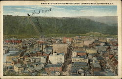 Bird's Eye View of Business Section, Looking West Johnstown, PA Postcard Postcard