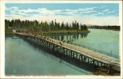 Fishing Bridge, Lake Outlet Postcard