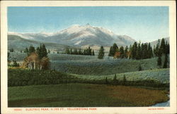 Electric Peak, 11,155 Ft Postcard