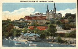 Stock #245595 Thumbnail