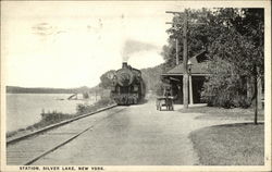 Station Silver Lake, NY Postcard Postcard