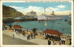 Portion of Bay Front. Avalon Postcard