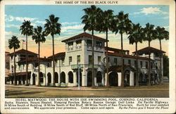 Hotel Maywood: The Home of the Big Black Olive Postcard