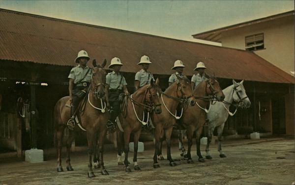 Mounted Police Squad, Trinidad, W.I Trinadad West Indies