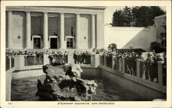 Steinhart Aquarium San Francisco California