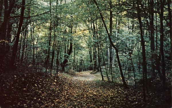Three States Marker Trail in the Cumberland Gap National Historical Park Middlesboro Kentucky