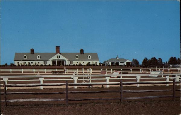 Mile-Away Farms Horses