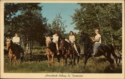 Horseback riding in Tennessee Postcard