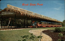 3 Mile Scene Railroad Birch State Park Postcard