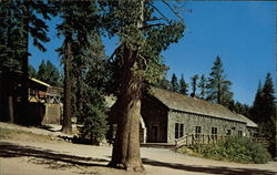 Lake Alpine Lodge Postcard