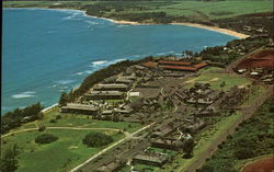 Aerial view of the Coconut Plantation Postcard
