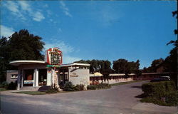 The Terrace Motel Court Postcard
