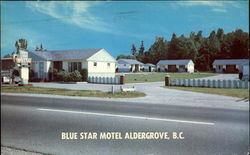 Blue Star Motel Postcard