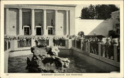 Stock #246443 Thumbnail