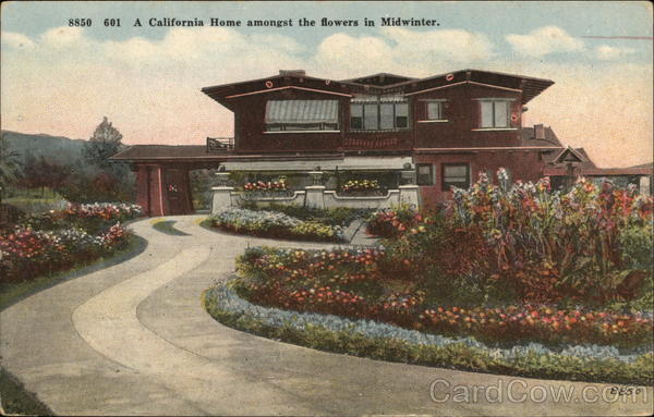 A California Home amongst the Flowers in Midwinter