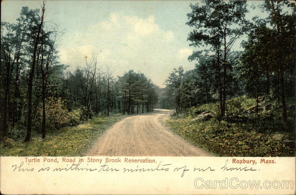 Turtle Pond, Road in Stony Brook Reservation Roxbury Massachusetts