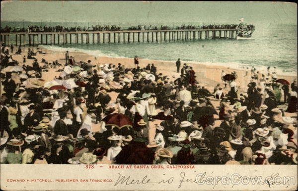Beach at Santa Cruz California