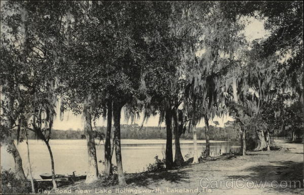 Clay Road near Lake Hollingsworth Lakeland Florida