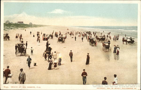 Beach at Sea Breeze Seabreeze Florida
