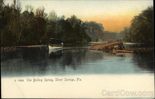 The Boiling Spring Silver Springs Florida