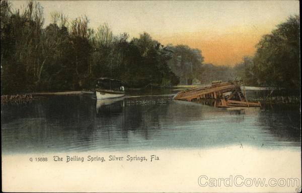 The Boiling Spring Silver Springs Florida