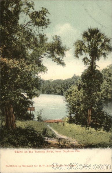 Scene on the Tomoka River Daytona Beach Florida