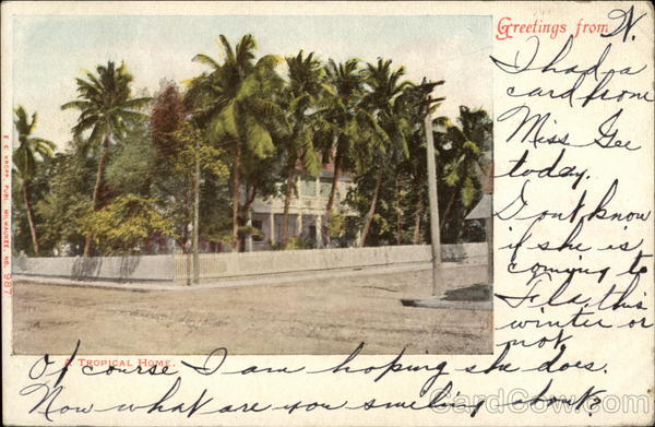 A Tropical Home Welaka Florida