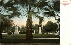 View in Rosedale Cemetery Postcard