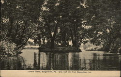 Lover's Island, One-half mile from Saegertown Inn Postcard
