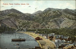 Avalon: Santa Catalina Island Postcard