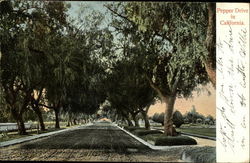 Stock #247224 Thumbnail