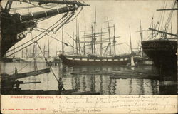 Harbor Scene Postcard