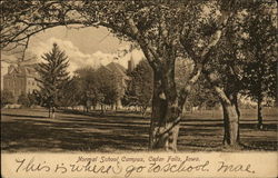 Normal School Campus Cedar Falls, IA Postcard Postcard