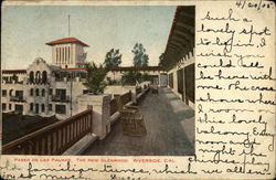 Paseo de Las Palmas, The New Glenwood Riverside, CA Postcard Postcard