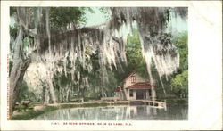 De Leon Springs Postcard