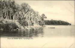 Shore of Indian River Rockledge, FL Postcard Postcard